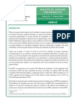 Diseño Arroz New PDF