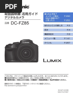 LUMIX DC-GF10 ホワイト 本体と取扱説明書 説明書 パナソニック DC-GF10W Lumix デジタルカメラ