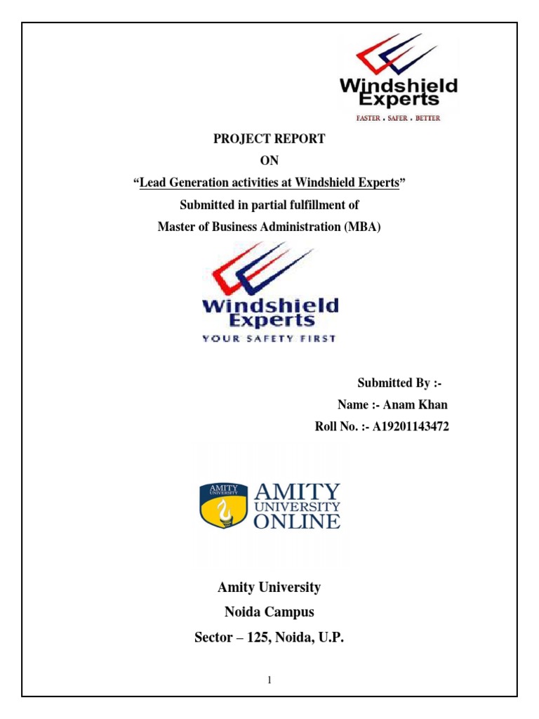 Lead Generation at Windshield Experts | PDF | Insurance | Advertising