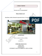 WCM-Finance-demo-project.pdf