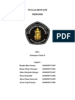 TUGAS BOTANI meiosis.docx