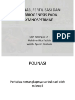 Kelompok 17 Polinasi, Fertilisasi Dan Embriogenesis Pada Gymnospermae