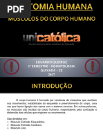 Anatomiahumana Msculosdocorpohumano 170602025135 (1)