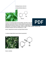 Alkaloid Piridin Terdapat Dalam Berbagai Tanaman