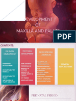 Development OF Maxilla and Palate