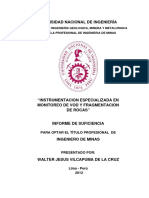 Vilcapuma DW PDF