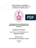 vilcapuma_dw.pdf