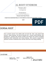 Dorsal Root Syndrom 