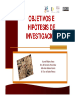 OBJETIVOS E HIPOTESIS.pdf