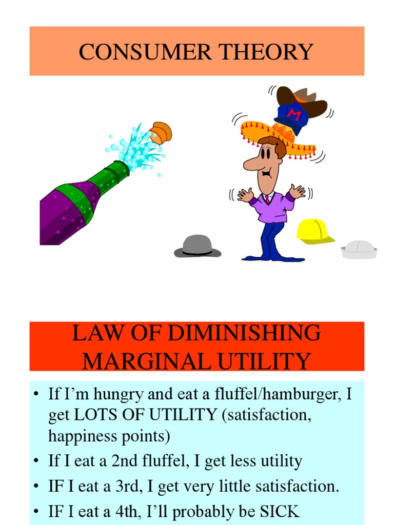 Understanding Consumer Utility Theory | PDF | Demand | Utility