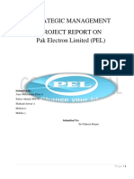 Strategic Management Project Report On Pak Electron Limited (PEL)