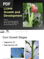 Corn Growth Stage Day and GDU Calendar10 | PDF | Seed | Maize