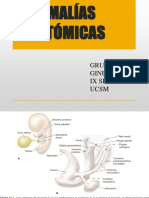 Anomalías Anatómicas