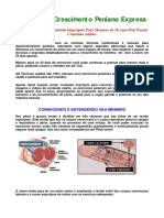206577677-Manual-de-Crescimento-Peniano.pdf