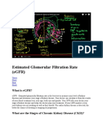 Estimated Glomerular Filtration Rate