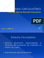 SISTEMA CIRCULATÓRIO1.pptx