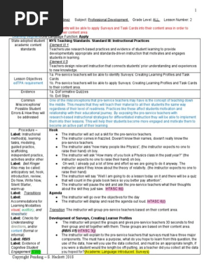 Differentiated Instruction Lesson Plan