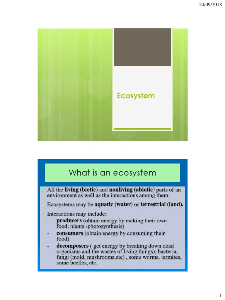 Chapter 2 Ecosystem PDF | PDF | Food Web | Ecosystem