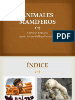 ANIMALES MAMÍFEROS.pptx