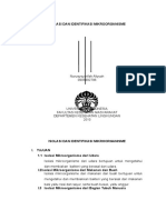 Isolasi Dan Identifikasi Mikroorganisme