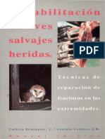 Rehabilitacion de Aves Salvajes Heridas