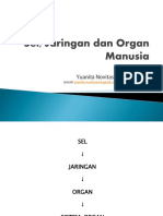 Sel, Jaringan Dan Organ Manusia PT 1 PDF