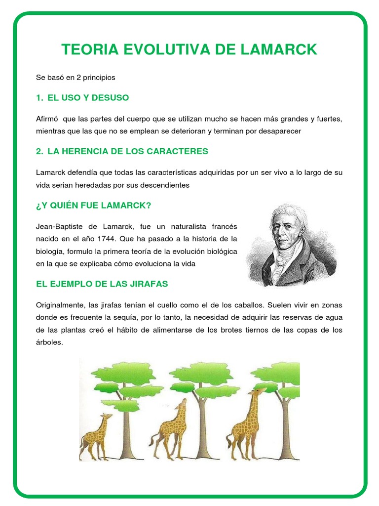 Teoría Evolutiva de Lamarck | PDF | Evolución | Mutación