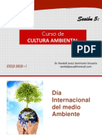 Dia Internacional Del Medio Ambiente (1)