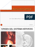 Sistema nervioso Central.pdf