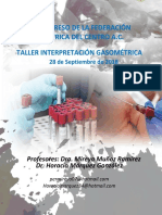 Programa Gasometria.pdf
