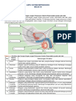 LKPD Sistem Reproduksi