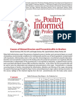 Causes of Gizzard Erosion and Proventriculitis in Broilers