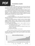 Introducción Básica Al Metabolismo Energético