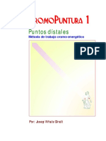 Cromopuntura.pdf
