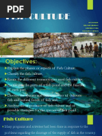 Fish Preservation | PDF | Food Preservation | Foods