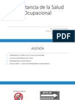 SALUD OCUPACIONAL IMPORTANCA.pdf