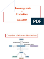 Gluconeogenesis + Evaluations 4/23/2003