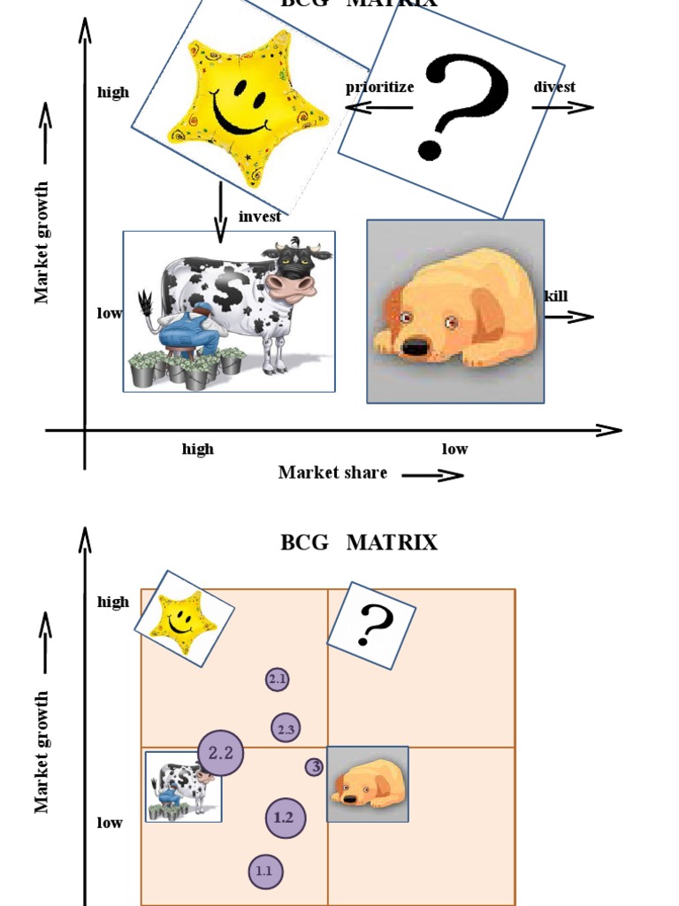 P&G BCG Matrix Analysis Overview | PDF