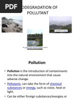 Biodegradation of Pollutant