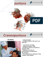 craneopuntura-180928111559.pdf
