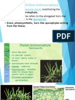 HORNWORTS: Division Anthocerophyta: Non-Vascular Plants