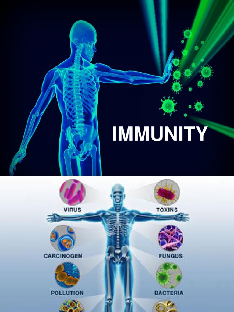 Immunity | PDF | Immune System | Antibody