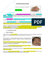 Patología Del Paladar