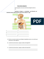 Guia Sistema Digestivo