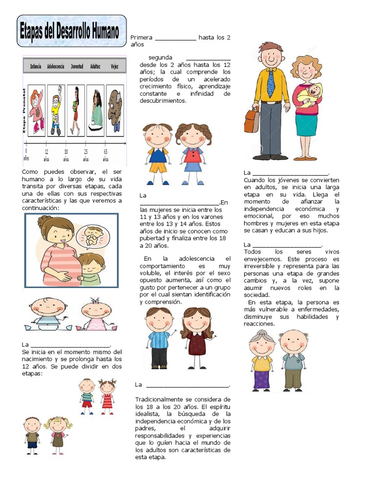 Etapas Del Desarrollo Humano