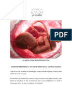 ADVANCED EMDR PRENATAL SUICIDIO 2 (1).pdf