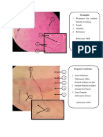 Tugas Patosis