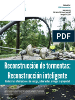 Reconstruccion-de-tormentas-Reconstruccion-inteligente.pdf