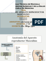 Anatomia Del Aparato Reproductor Femenino y Masculino 