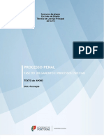Fase Do Julgamento e Processos Especiais PDF